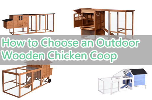 Guía de selección de jaulas de madera para gallinas al aire libre
