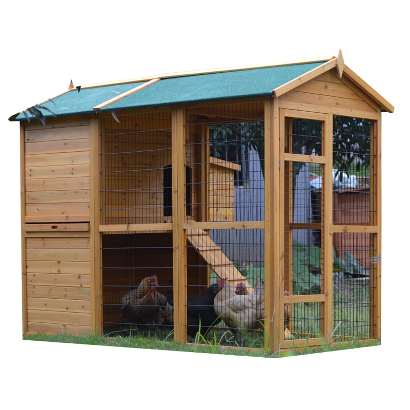 chicken cage