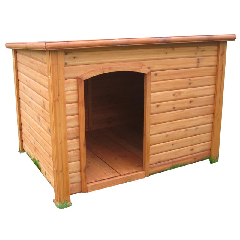 Indoor Dog Kennel