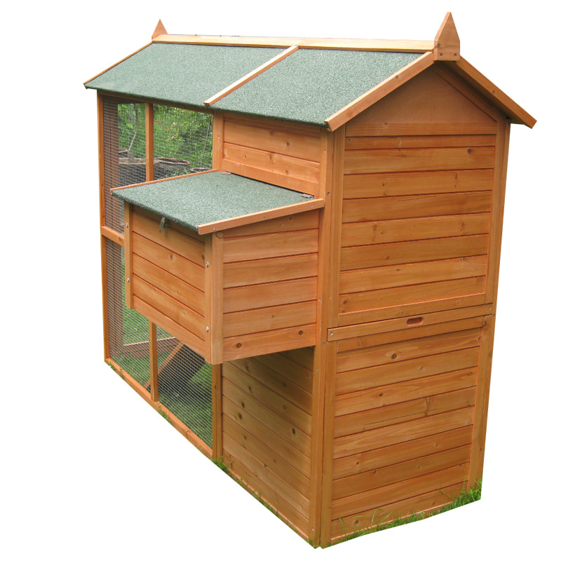 large chicken coop