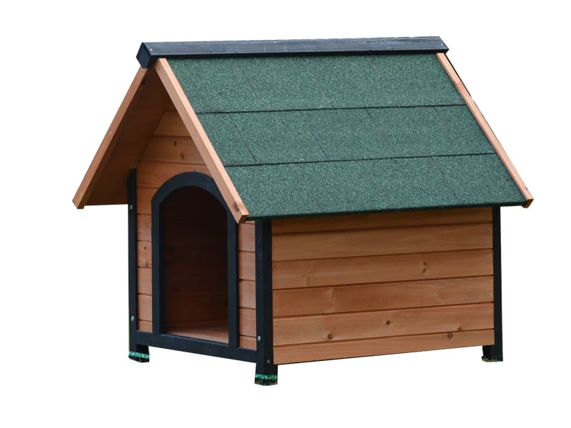 pet in dog house