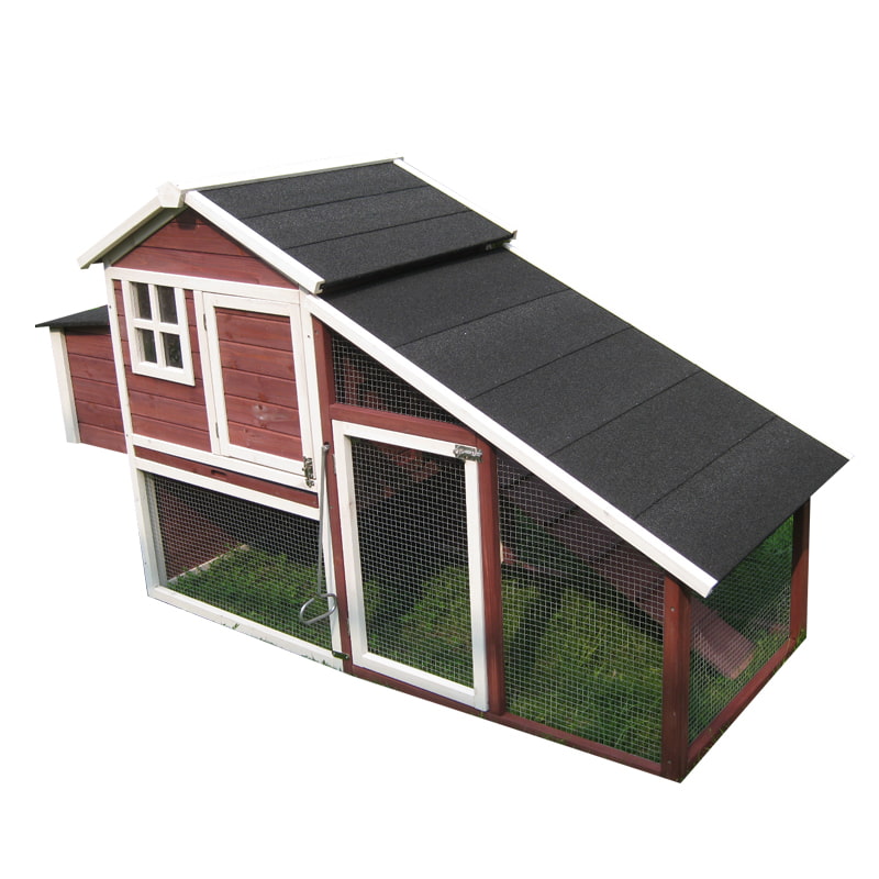 extra large chicken coop