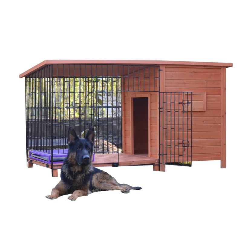 dog in wooden kennel