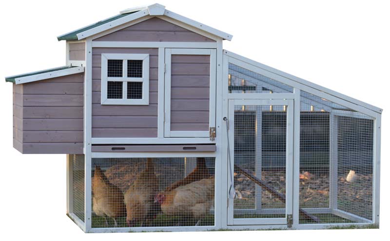 chicken cage for layer chicken cage for layer