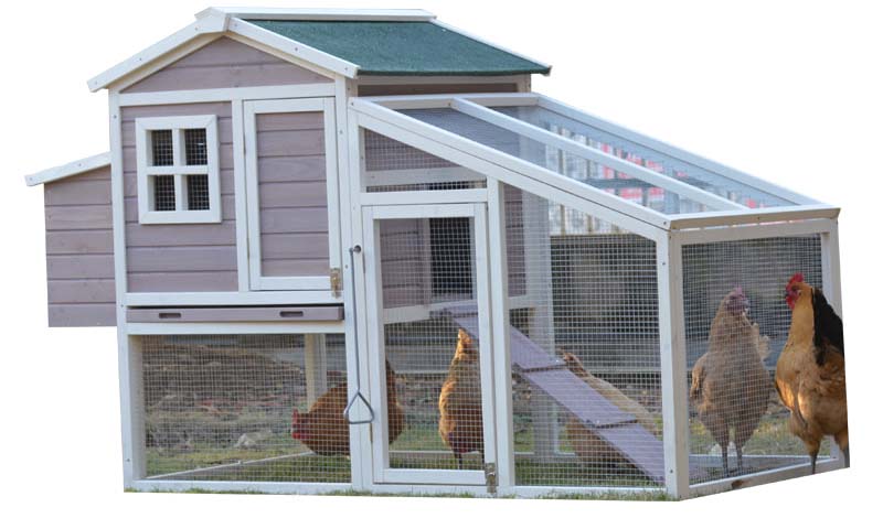 chicken coop cage chicken coop cage