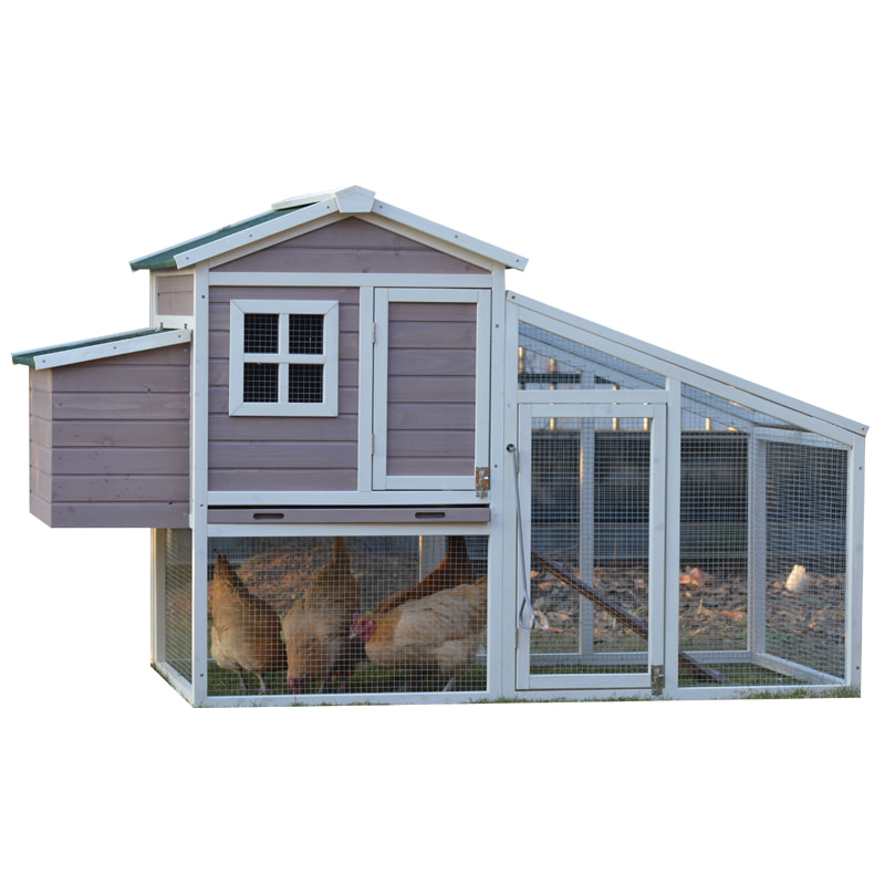 chicken cage for layer