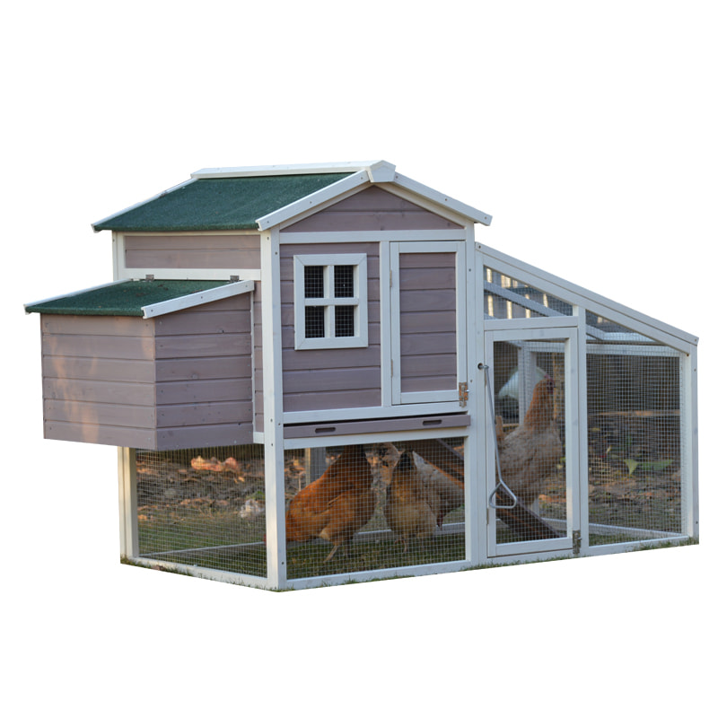 chicken coop cage