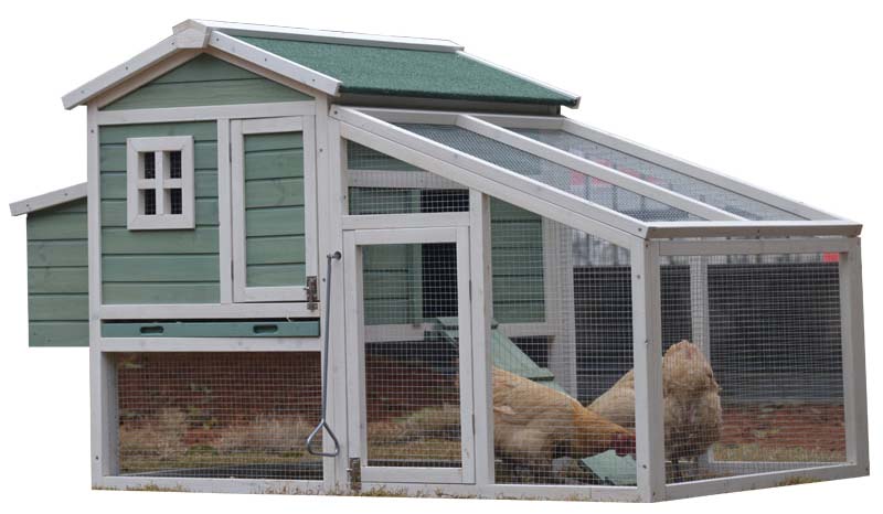 outdoor chicken cage outdoor chicken cage