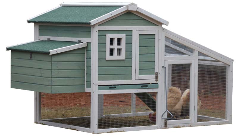chicken coop chicken coop