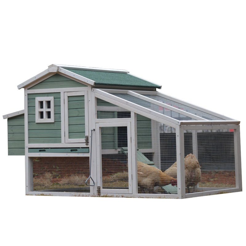 outdoor chicken cage