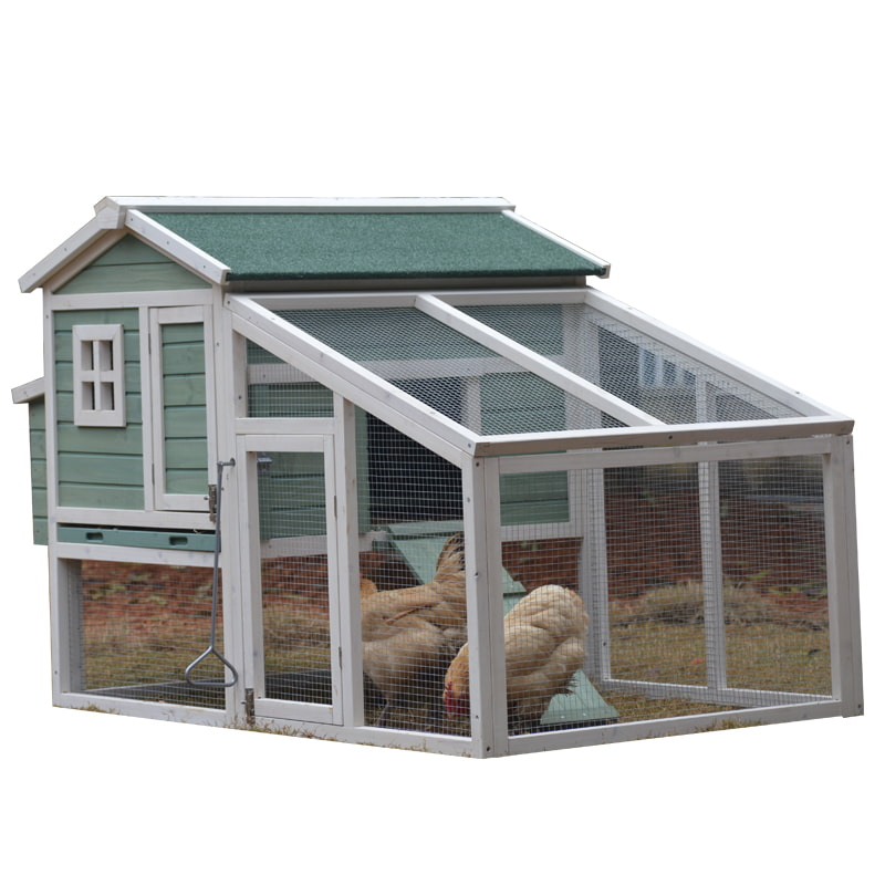 chicken coops for laying hens