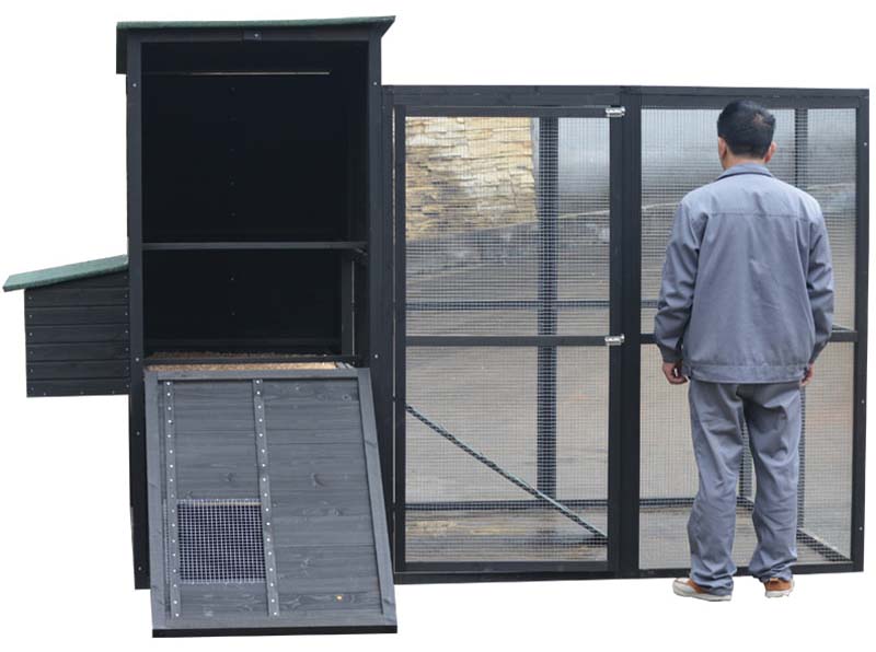 Walk In Chicken Coops