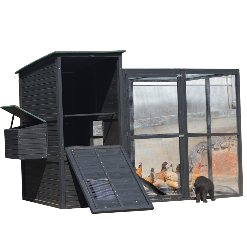 hen house chicken coop