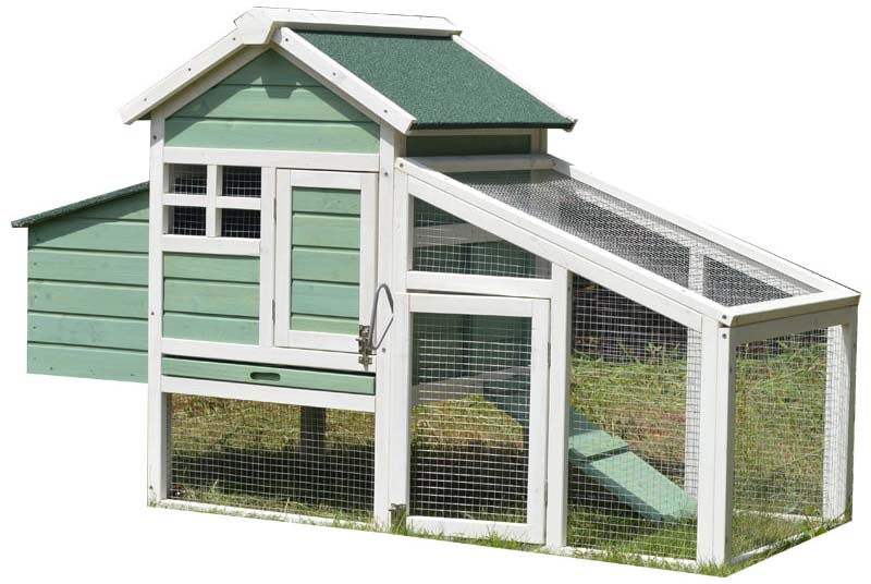 chinese chicken coop