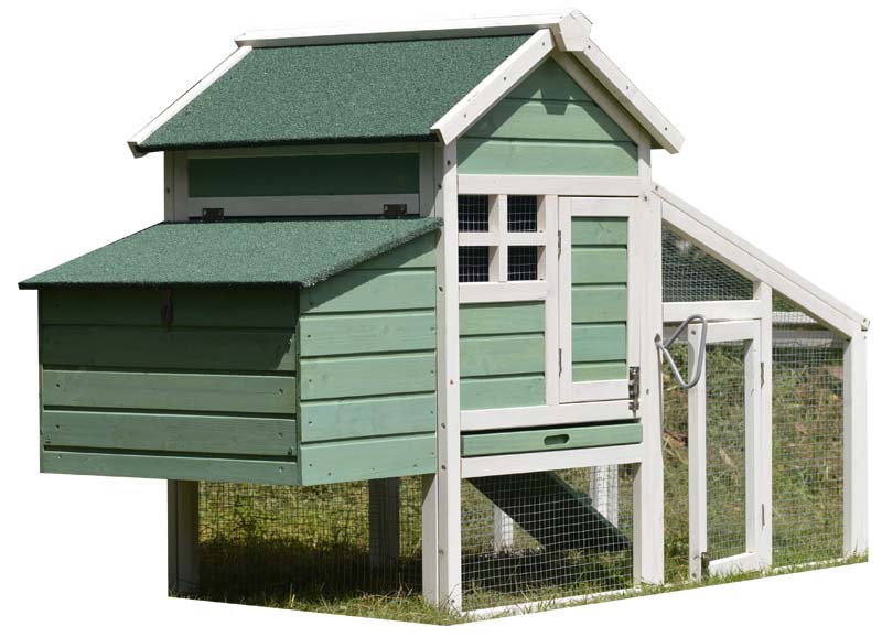 layer cages egg chicken poultry farm