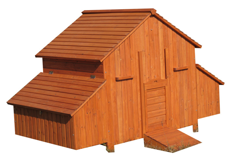 Outdoor Big Chicken Coop cute