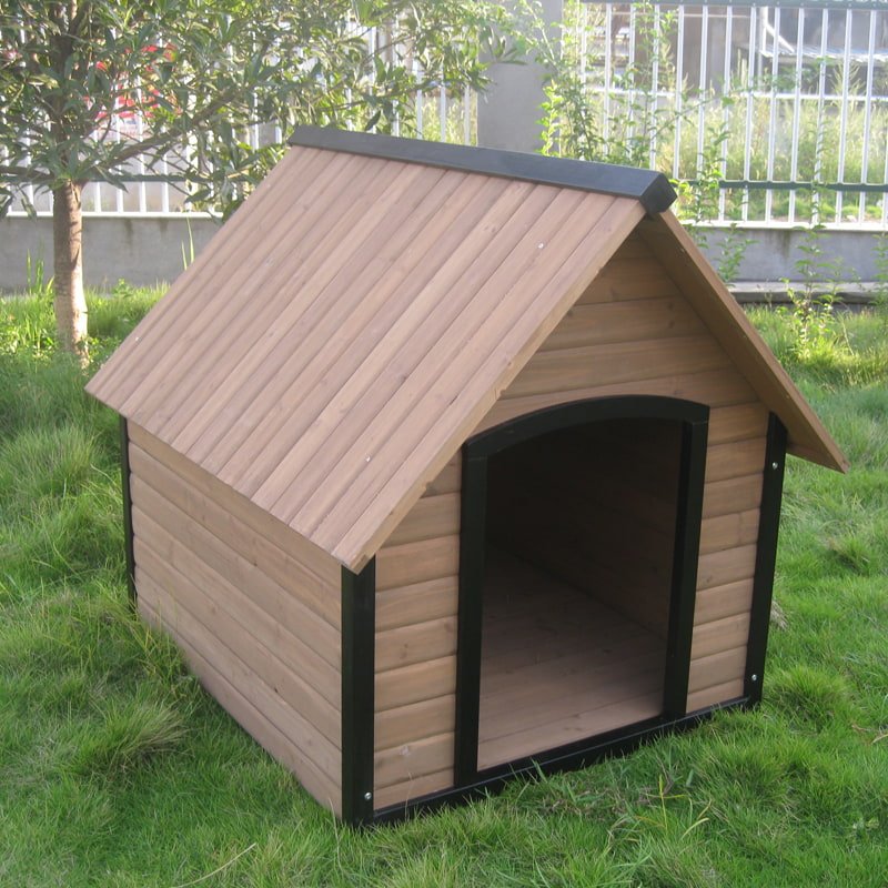 Best dog kennel near me