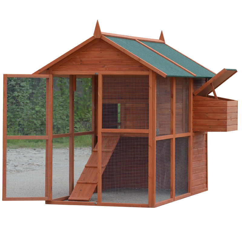 chicken coop for 10 hens