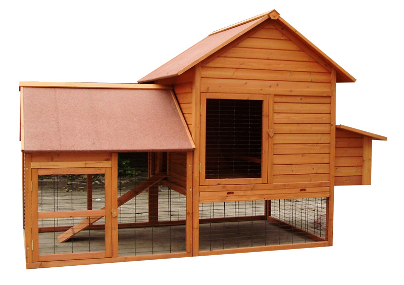 Outdoor Large Chicken Coop
