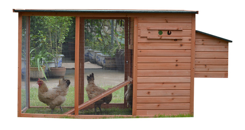 Outdoor Big Chicken Coop backyard 