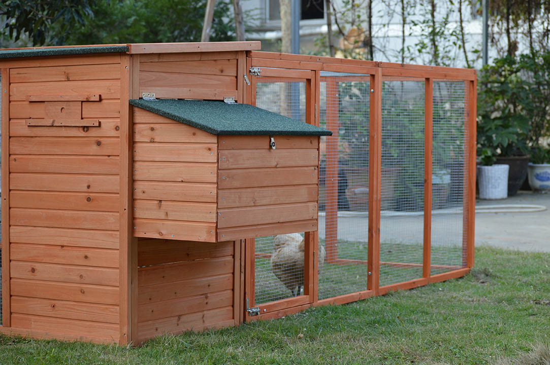 Predator-Resistant & Breathable Construction