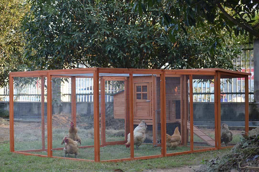 Garden-Friendly Aesthetic