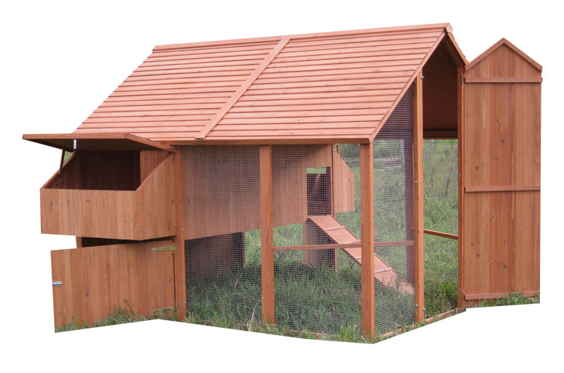 Brown large Chicken Coop backyard