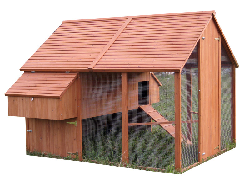 fresh chicken coop conutryside style