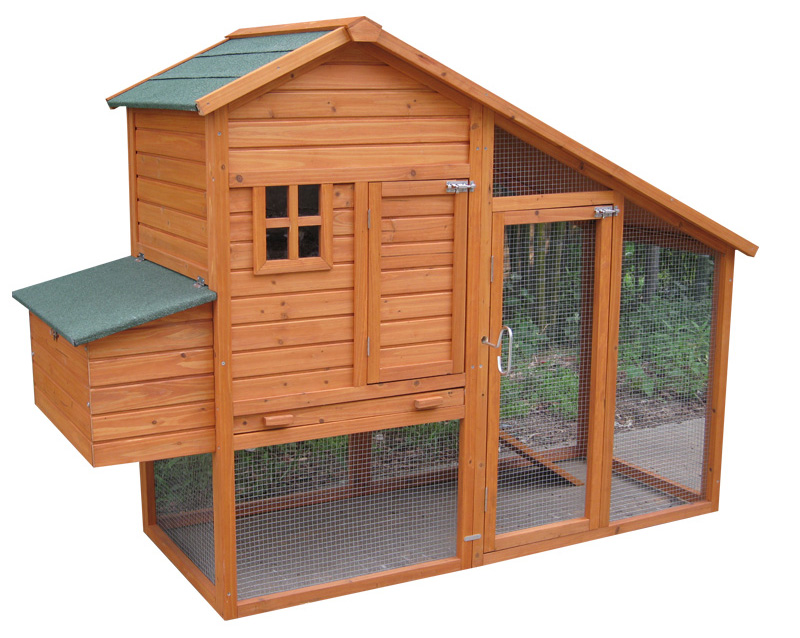 Outdoor big cozy Chicken Coop your backyard 