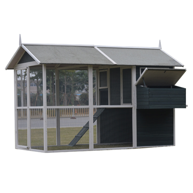 large chicken coop and run
