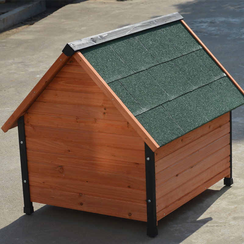 dog boarding kennels near me