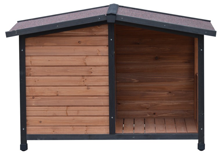 dog resting outdoor dog resting outdoor