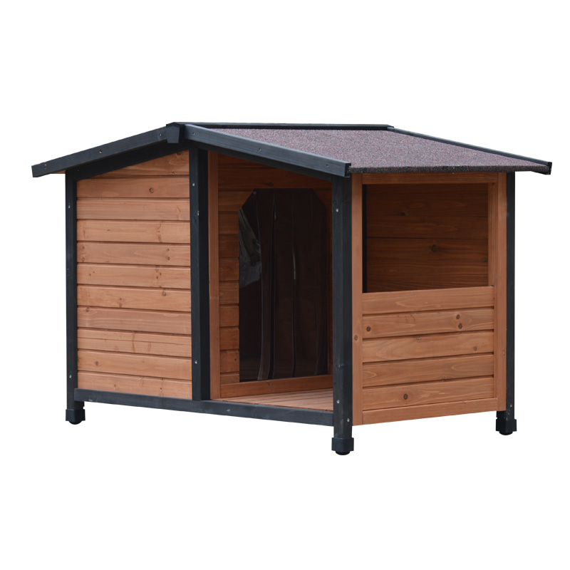 boarding for cats near me