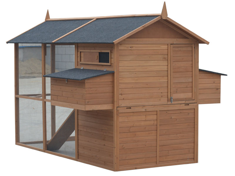 chicken coop with galvanized mesh