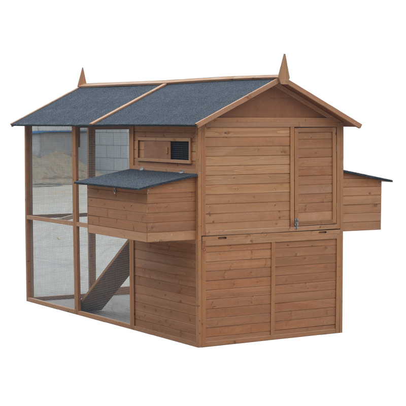 chicken coop with galvanized mesh