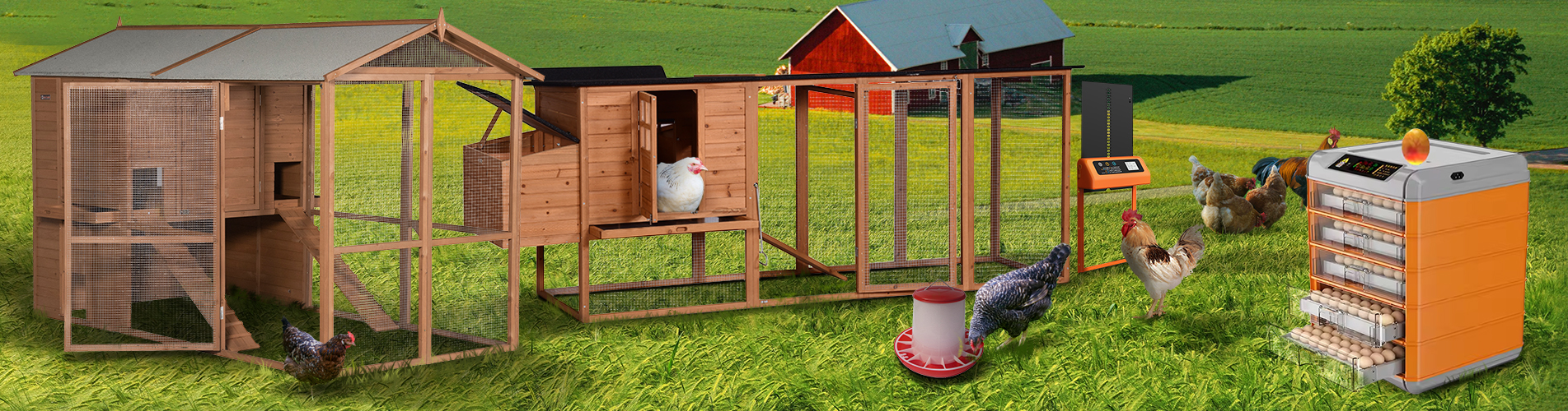 wooden pet house supplier, chicken cage factory, chicken coop custom