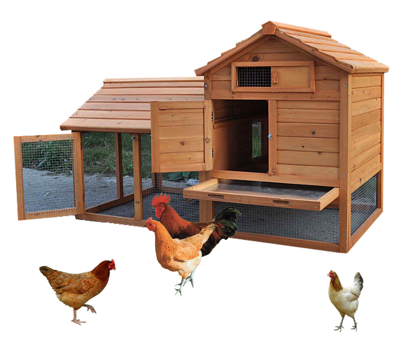 Rustic chicken coop