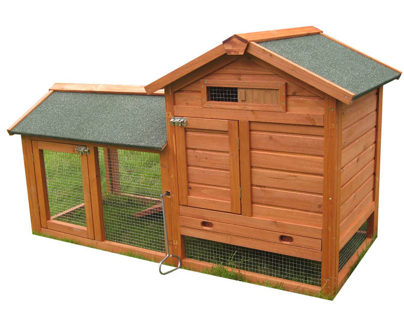 Outdoor backyard cozy Chicken Coop