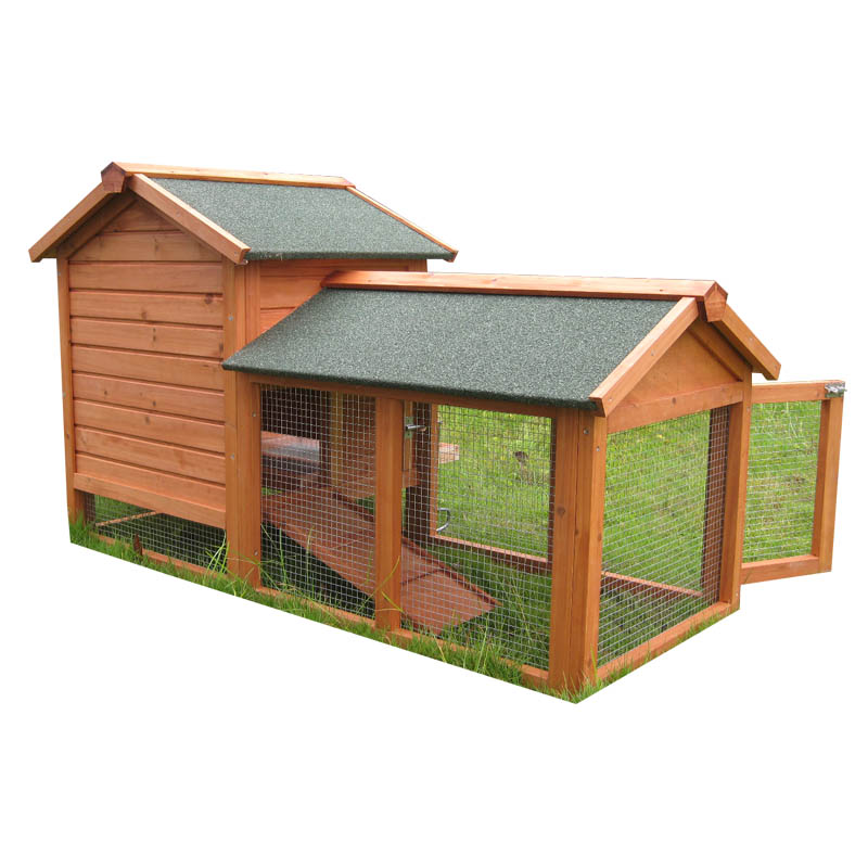 Cozy chicken coop with lamp