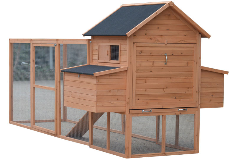 chicken house poultry farming chicken house poultry farming