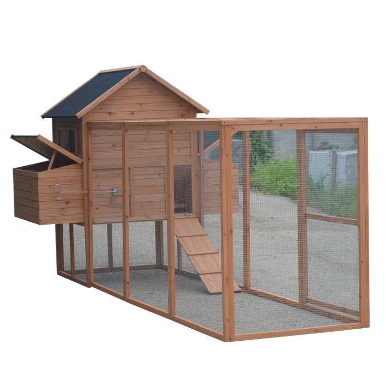 chicken cages egg layer