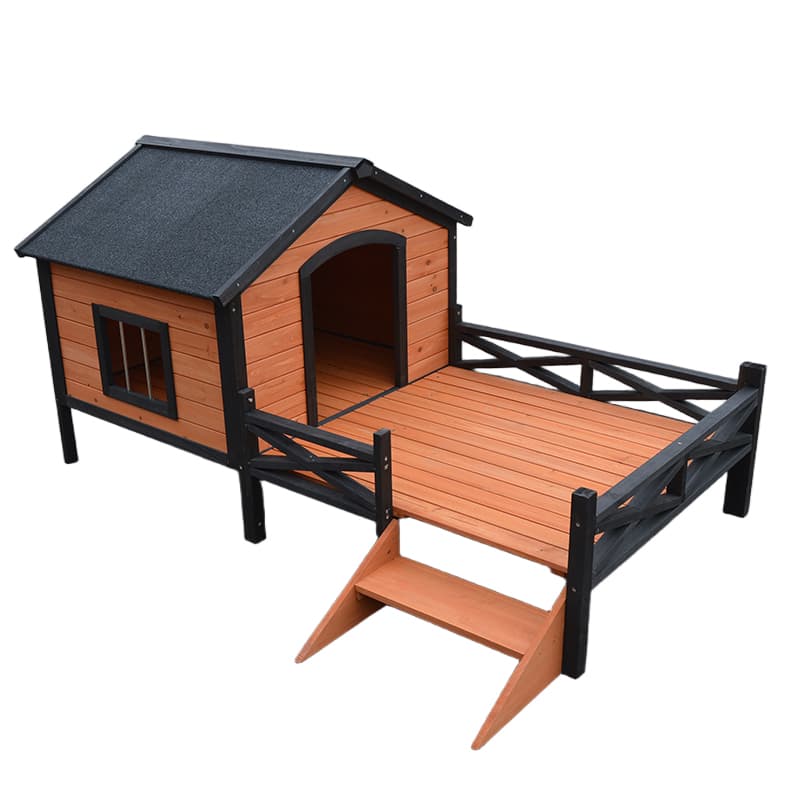 boarding for cats near me