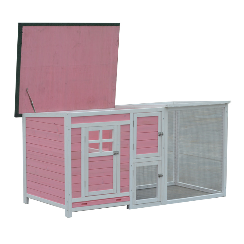 chicken coop for eggs