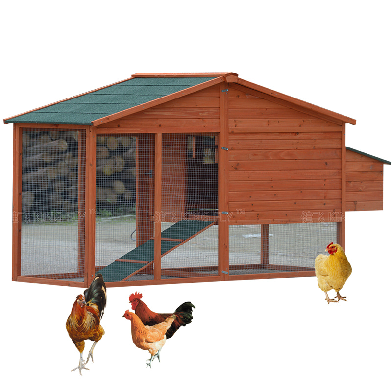 Backyard wooden chicken coop with ramp