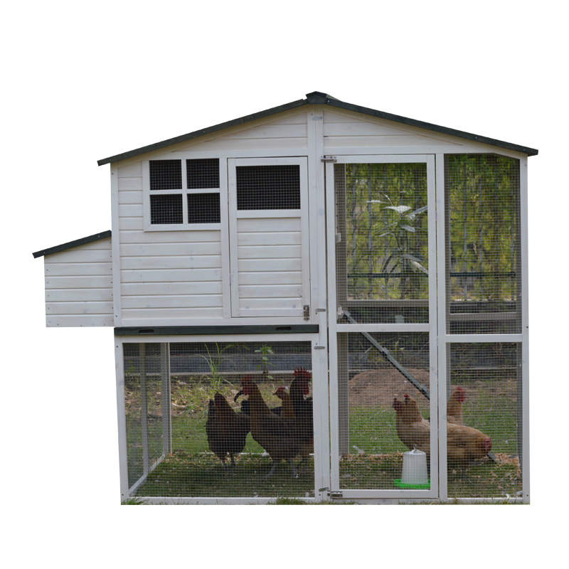 premium white color chicken coop 