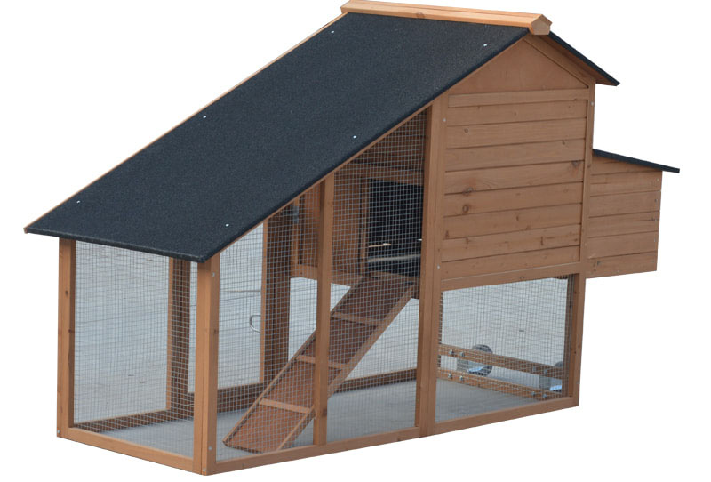 cages for laying chicken