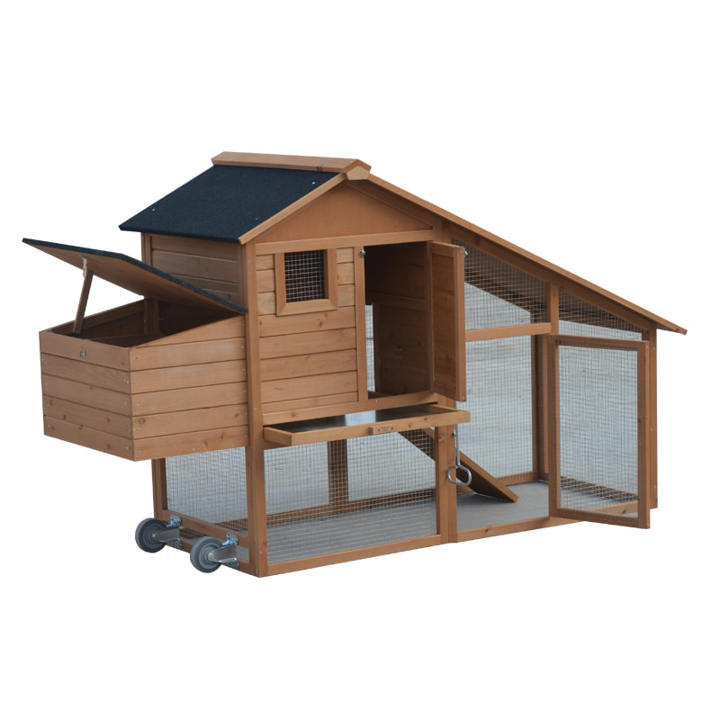 economic chicken coop house