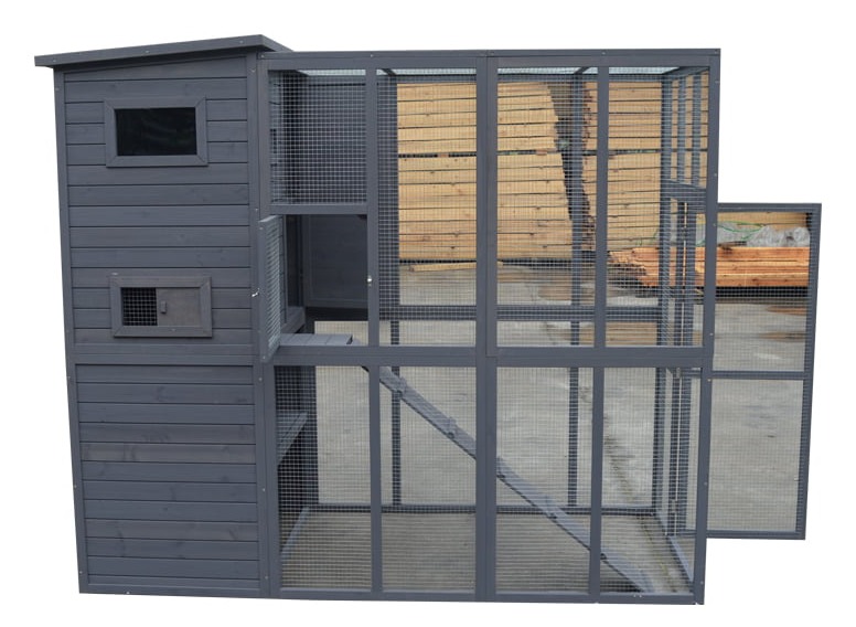 dog resting outdoor dog resting outdoor