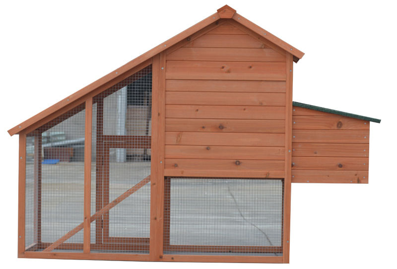 automated chicken layer cage