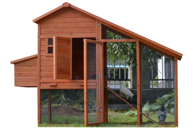 wooden brown chicken coop backyard wooden brown chicken coop backyard